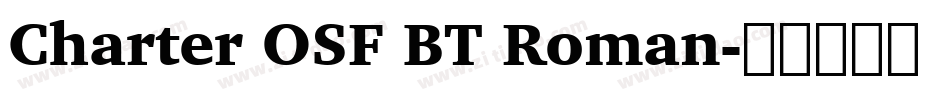 Charter OSF BT Roman字体转换